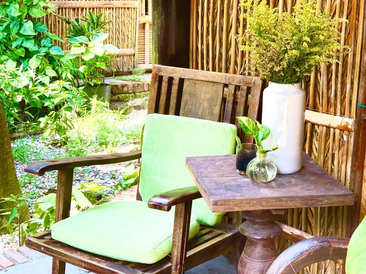 Under The Coconut Tree Hoi An Homestay エクステリア 写真
