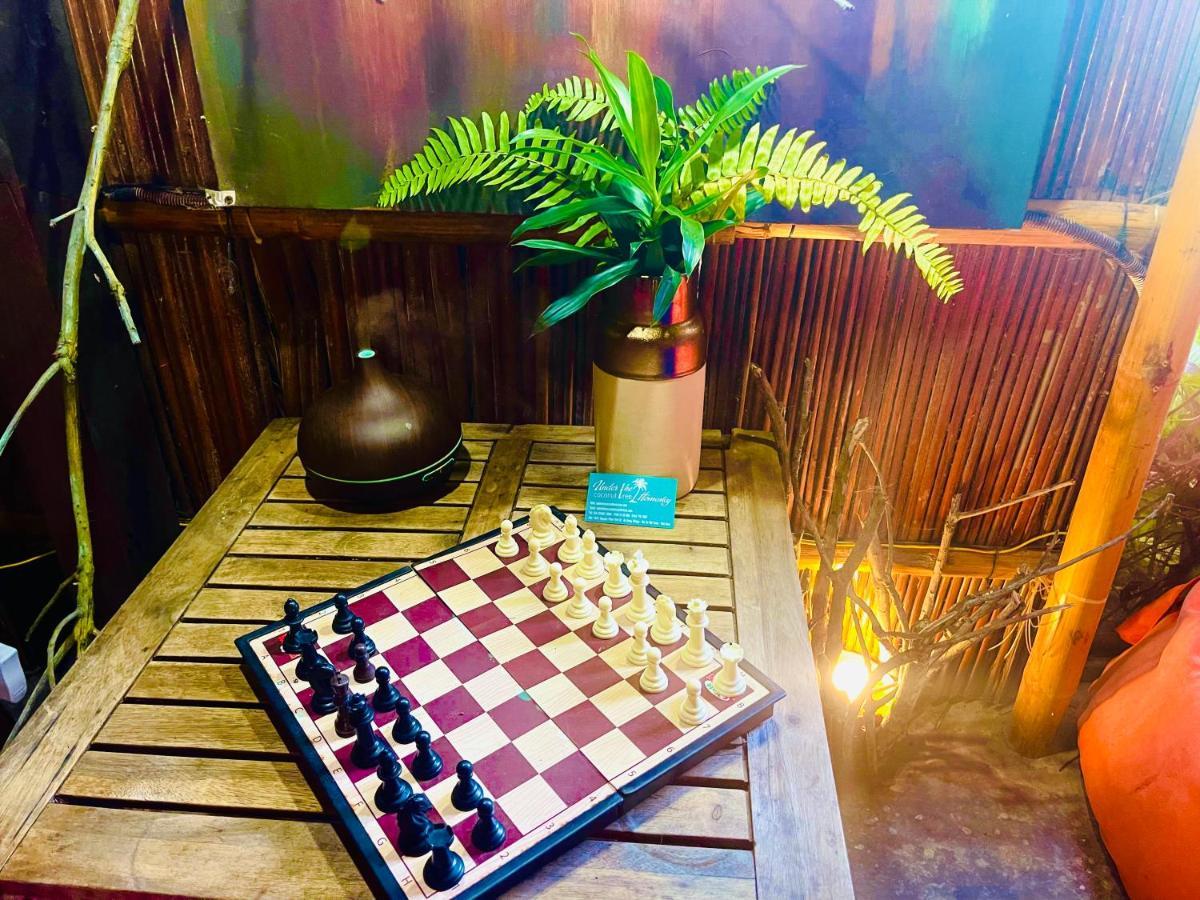 Under The Coconut Tree Hoi An Homestay エクステリア 写真
