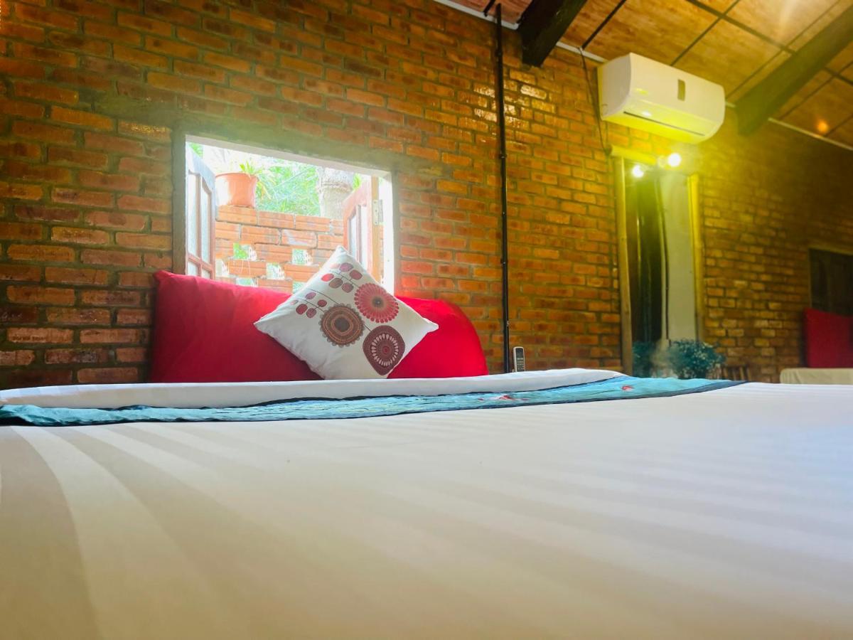Under The Coconut Tree Hoi An Homestay エクステリア 写真