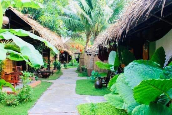 Under The Coconut Tree Hoi An Homestay エクステリア 写真