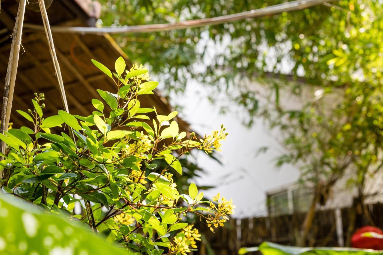 Under The Coconut Tree Hoi An Homestay エクステリア 写真